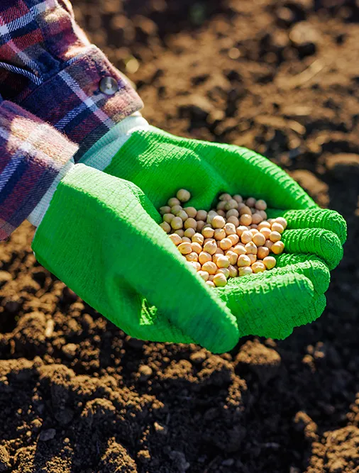 Image of a hand holding fertilizers